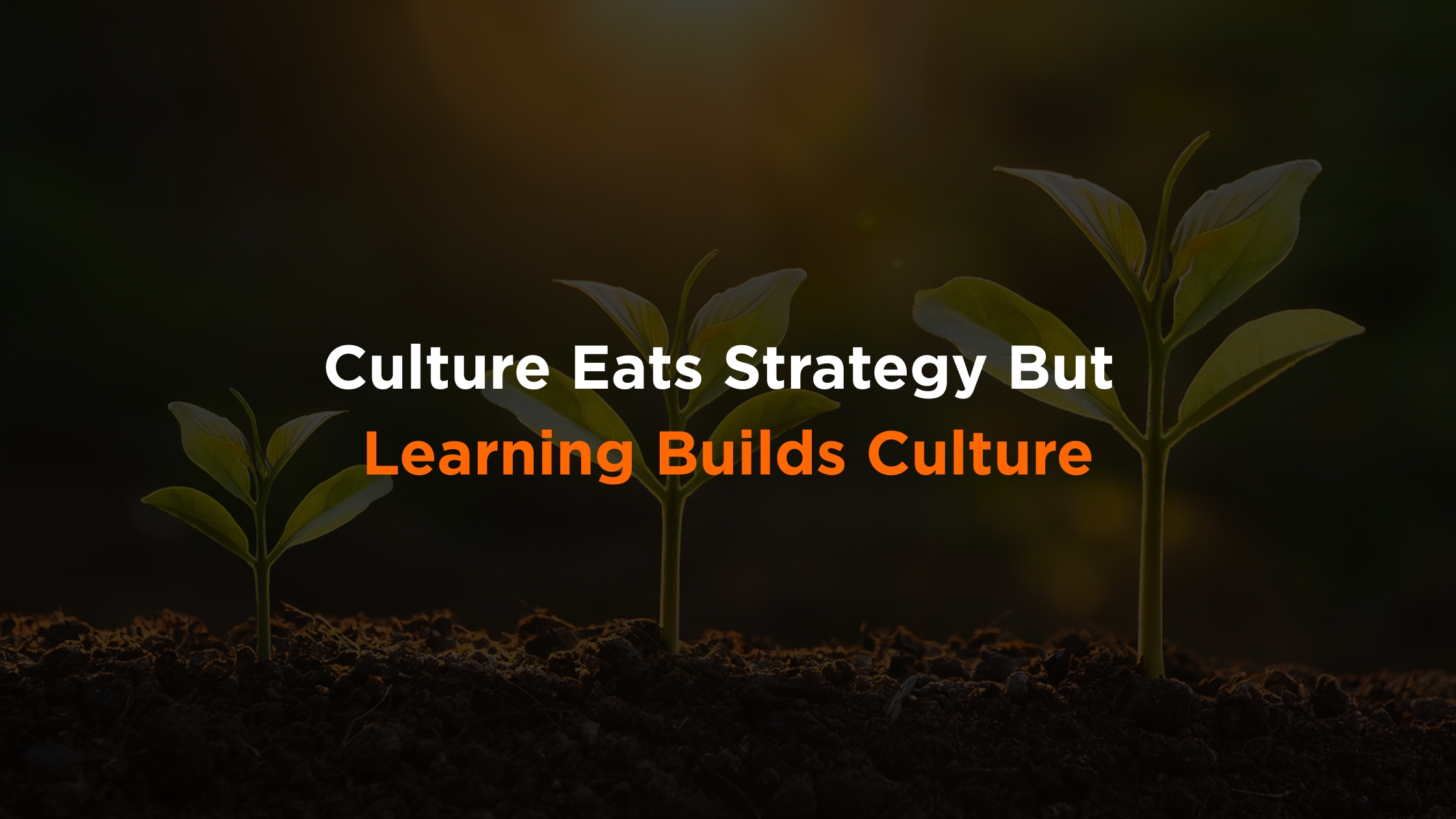 Culture Eats Strategy – But Learning Builds Culture 