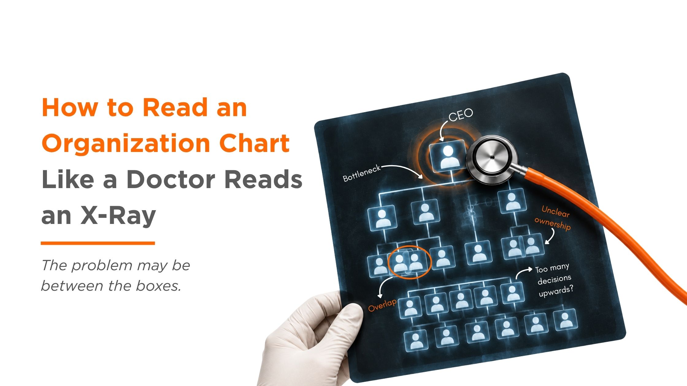 How to Read an Organization Chart Like a Doctor Reads an X-Ray